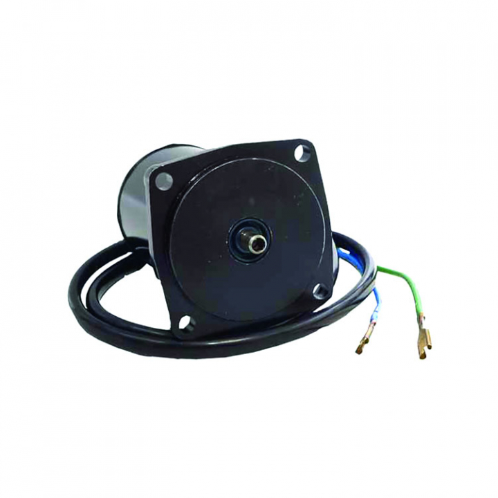 Tilt/Trim Motor Evinrude/Johnson/Honda (8M6007526) i gruppen Motor & Tillbehör / Evinrude/Johnson / Evinrude/Johnson Reservdelar & Tillbehör hos Marinsystem (8M6007526)